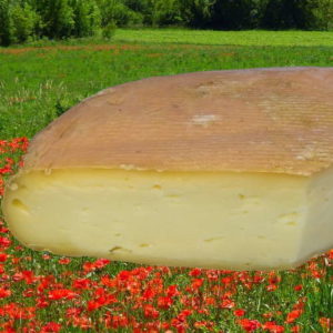 Fromage de Bergues au kilo