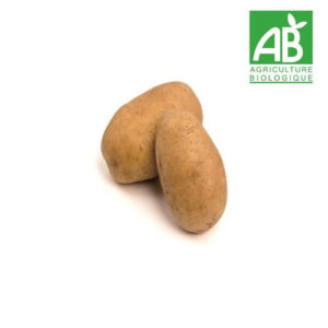 Pomme de terre primeur Bio au kilo - jardin de cocagne