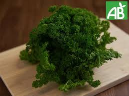 Persil frisé - Bio - Ferme des Jésuites