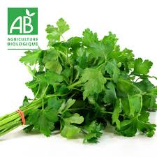 Persil plat - Bio - Ferme des Jésuites
