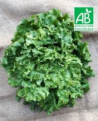 Batavia bio Ferme des Jésuites