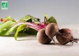 Betteraves Rouges bio primeur la botte 600g  -Ferme des Jésuites