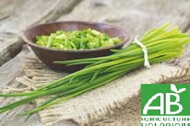 Ciboulette Bio en bouquet 80g - La Ferme des Jésuites