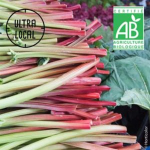 Rhubarbe en Botte 500g Bio - La Ferme des Jésuites