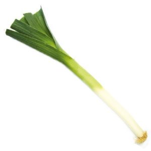 Poireaux d’été primeur Bio au choix - Jardin de Cocagne