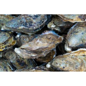 Huitre de Normandie Panier de 50 pcs N°2