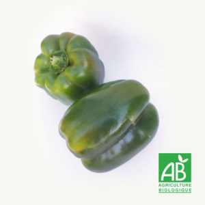 Poivron jaune vert au choix - Jardin de Cocagne