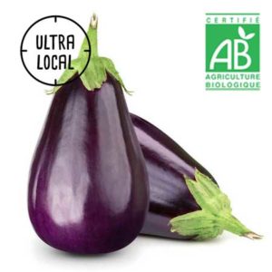 Aubergines bio au choix-Jardin de Cocagne