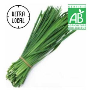 Ciboulette Bio Jardin de Cocagne