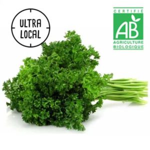 Persil frisé Bio (Botte) stock limité - Jardin de Cocagne