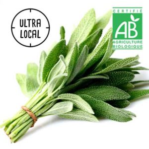 Sauge Bio Jardin de Cocagne