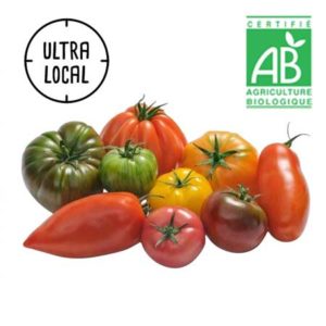 Tomates anciennes Bio- Jardin de Cocagne