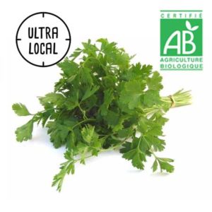 Persil Plat BIO (Botte) - Jardin de Cocagne