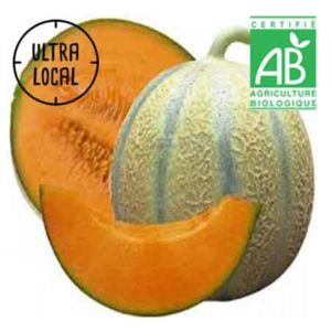 Fruits - Melon BIO - la Ferme des Jésuites