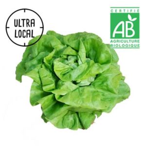 Laitue verte Bio - La Ferme des Jésuites