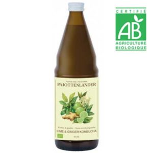 Kombucha Citron et Gingembre bio (consigné) - Pajottenlander - 75 cl