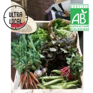 Grand panier de légumes Bio -La ferme du chemin blanc