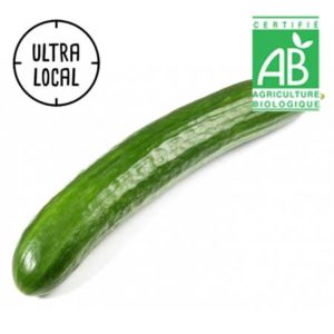 Concombre à la pièce BIO - Plaine de Saveur