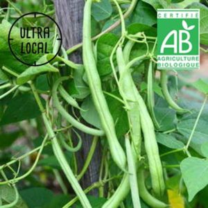 Haricots Verts Bio 500g - La ferme du chemin blanc