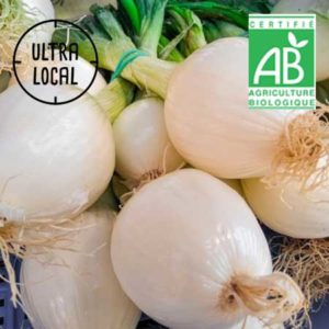 Oignons blancs Bio en botte 500g-La ferme du chemin blanc