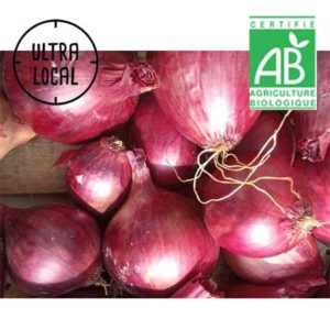 Oignons Rouges Bio en botte 500g  La ferme du chemin blanc