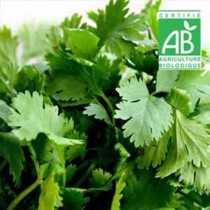 Persil Plat Bio bouquet -La ferme du chemin blanc