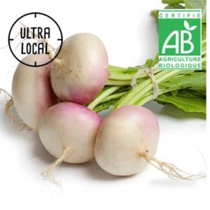 Navet primeur Bio en botte 500g- La ferme du chemin blanc