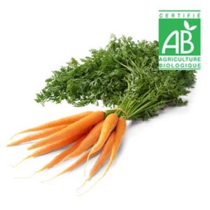 Carottes Primeur Bio en botte 500g - La ferme du chemin blanc