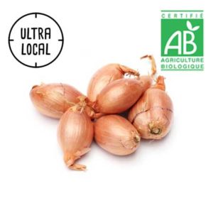 Échalotes Fraiches Bio - Au choix - La ferme du chemin blanc