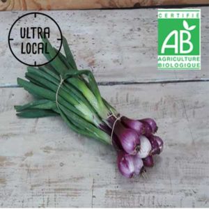Botte d'Oignons Rouges BIO - Bardel