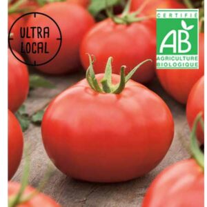 Tomate Honey moon Bio au choix - Jardin de Cocagne