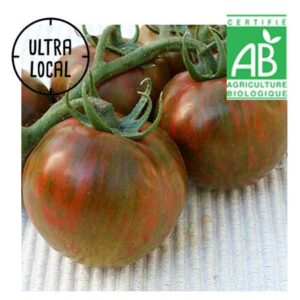 Tomate zebra Bio au choix - Jardin de Cocagne